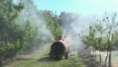 Sprayer in Orchard From Rear HD 1 24776